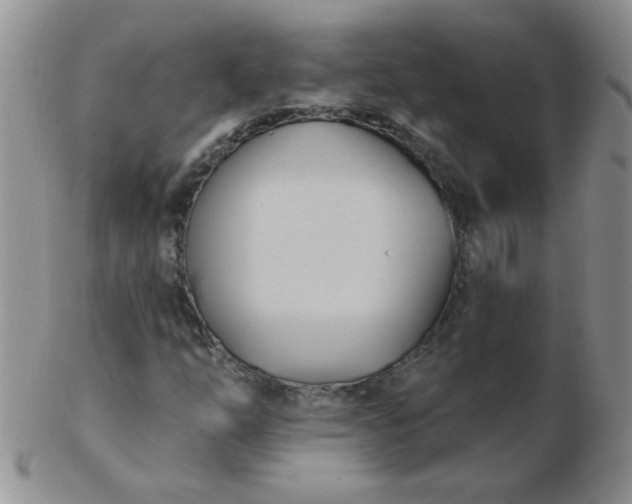 X0000103281254200809121937