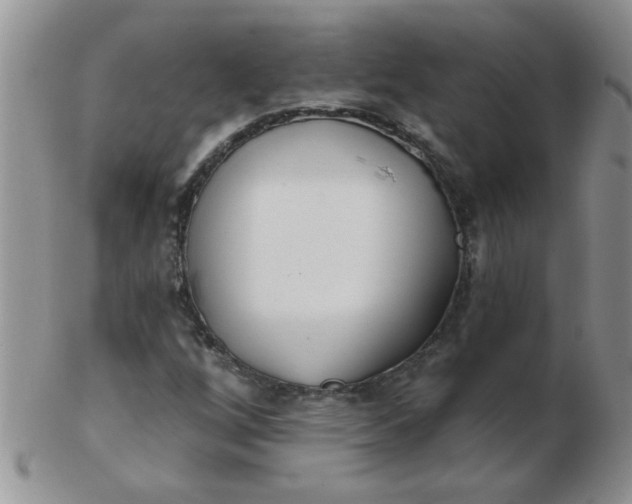 X0000103281256200809121937