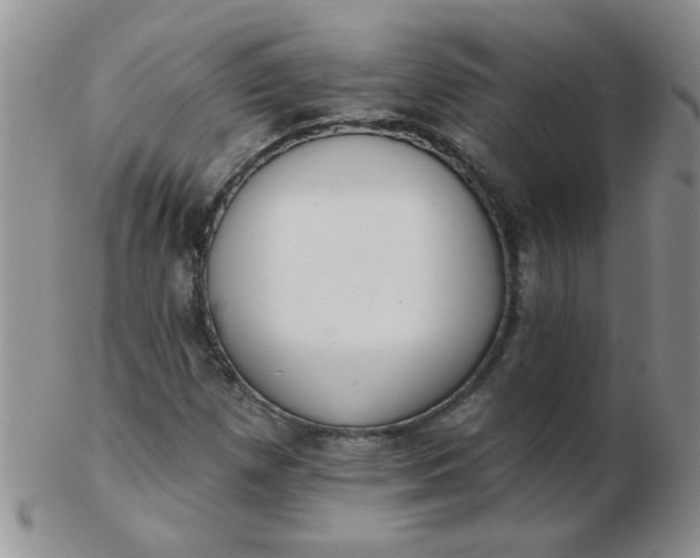 X0000103281257200809121937