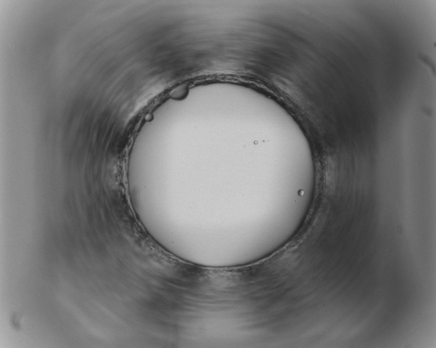 X0000103281258200809121937