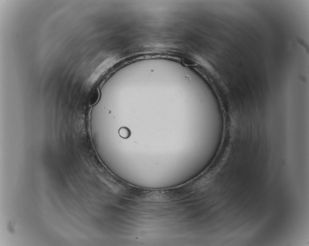 X0000103281259200809121937