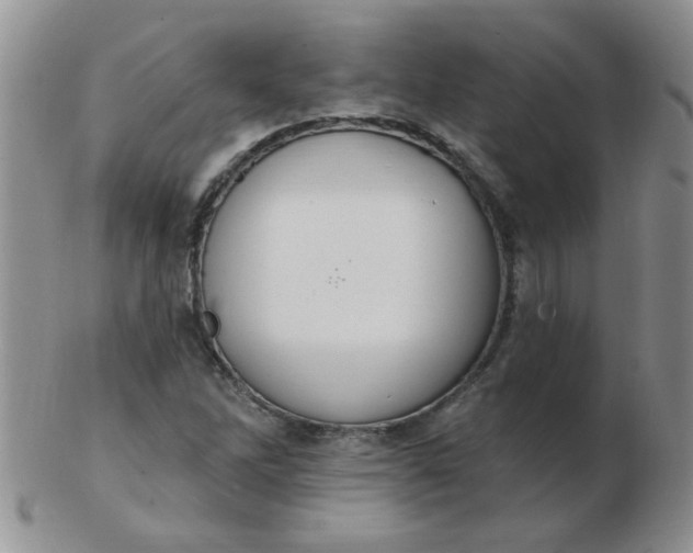 X0000103281262200809121937