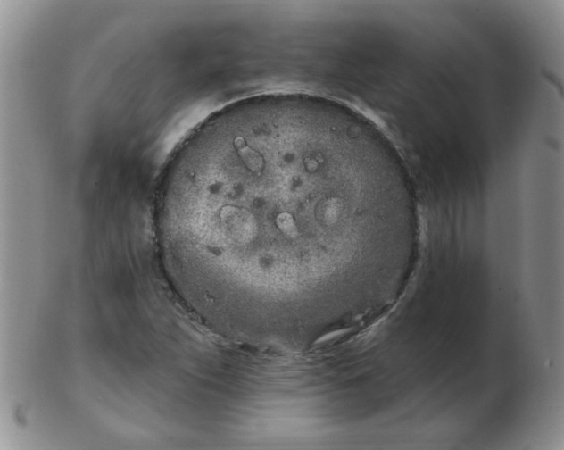 X0000103281263200809121937