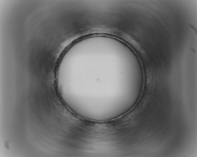 X0000103281264200809121937