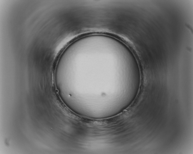 X0000103281271200809121937