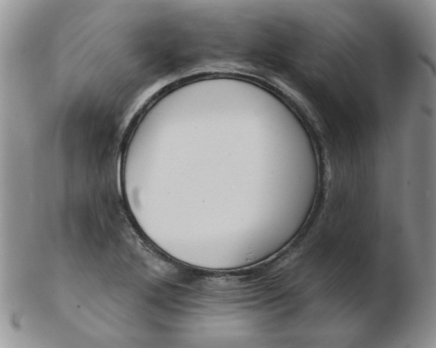 X0000103281272200809121937