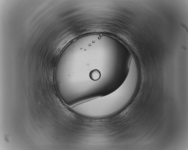 X0000103281273200809121937