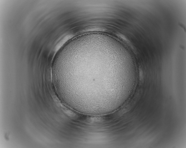 X0000103281274200809121937