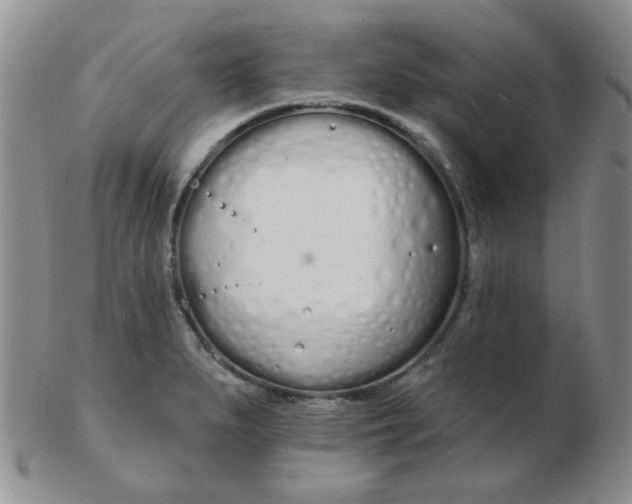 X0000103281279200809121937