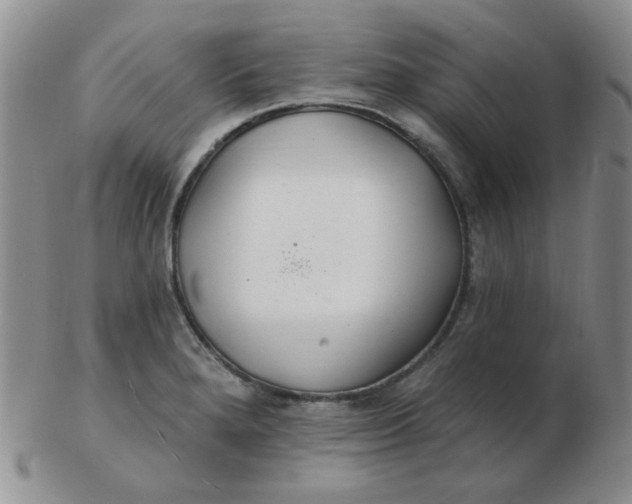 X0000103281280200809121937