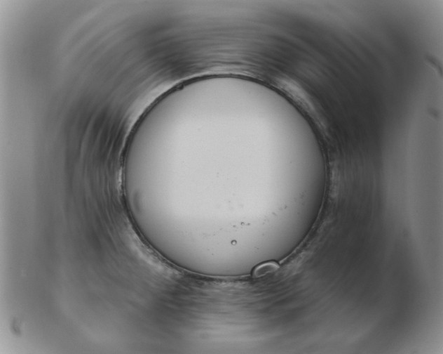 X0000103281284200809121937