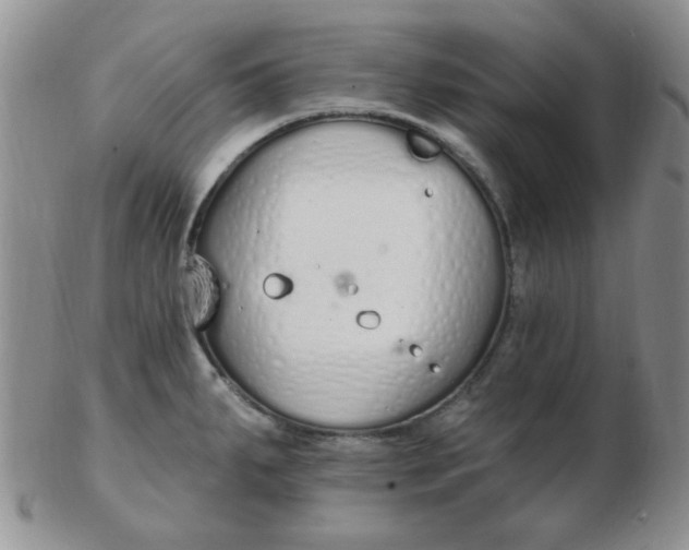 X0000103281287200809121937