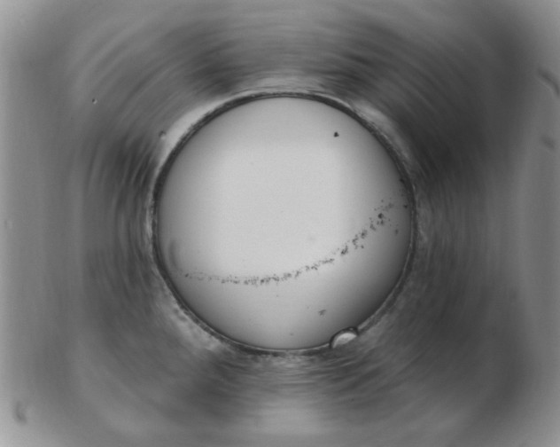 X0000103281288200809121937