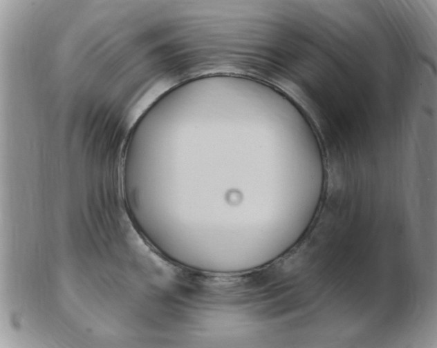 X0000103281290200809121937