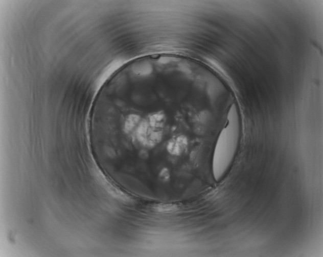 X0000103281291200809121937