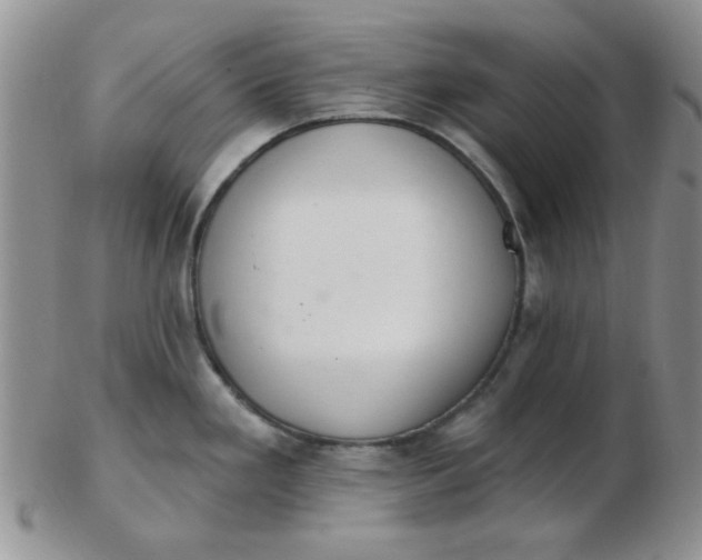 X0000103281293200809121937