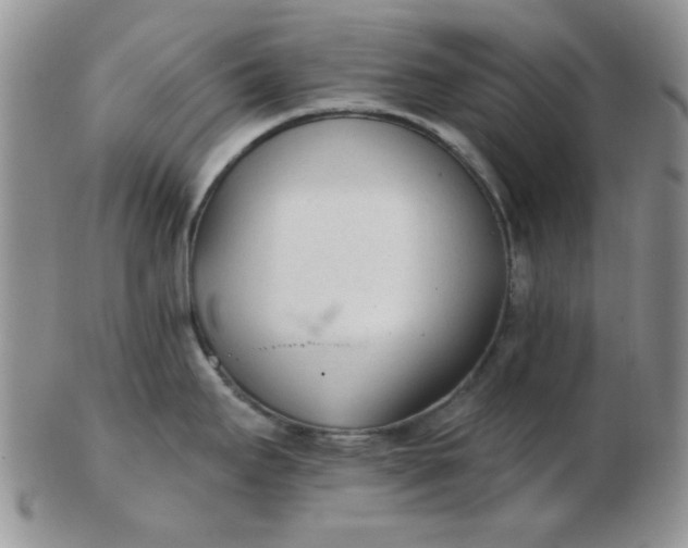 X0000103281295200809121937