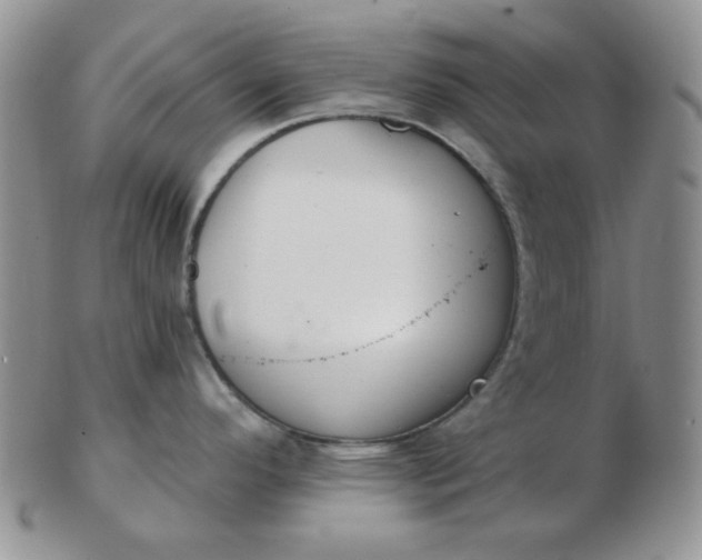 X0000103281296200809121937