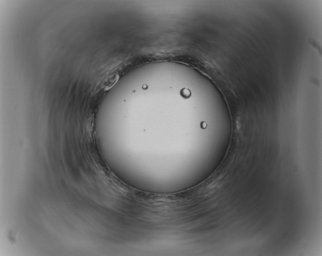 X0000103281300200809121936