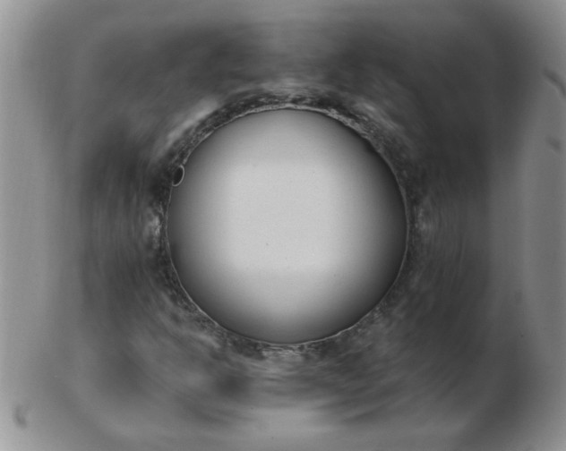 X0000103281302200809121936