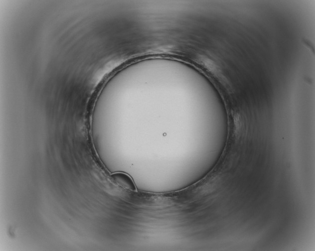 X0000103281308200809121936