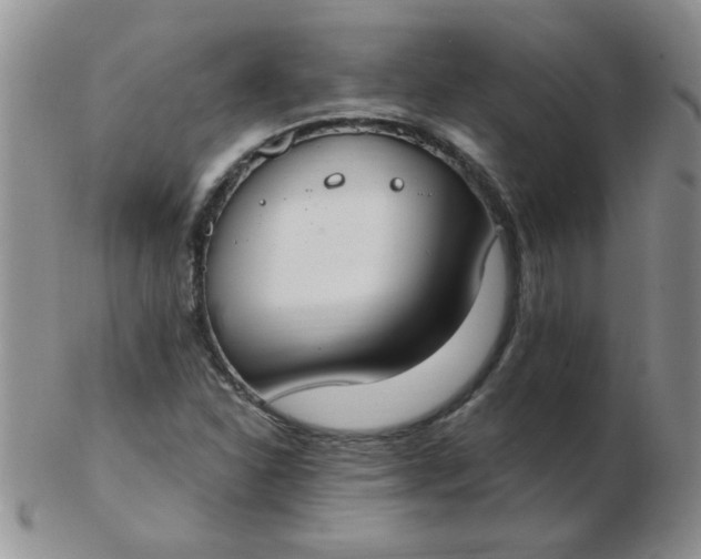 X0000103281310200809121936