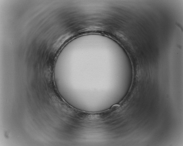 X0000103281313200809121936