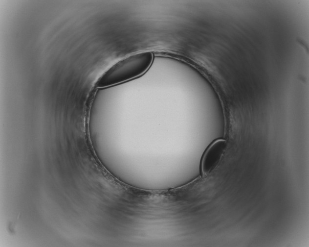 X0000103281316200809121936