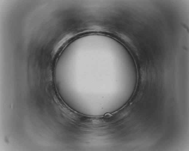 X0000103281318200809121936