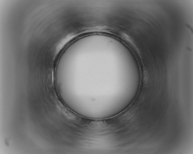 X0000103281320200809121936