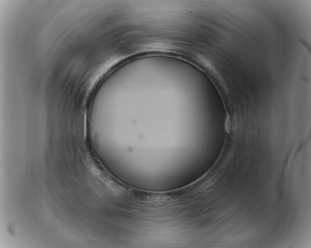 X0000103281323200809121936