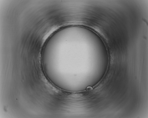 X0000103281325200809121937