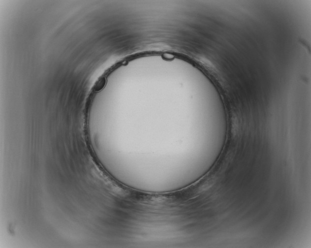 X0000103281326200809121937