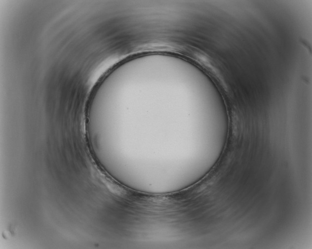 X0000103281328200809121937