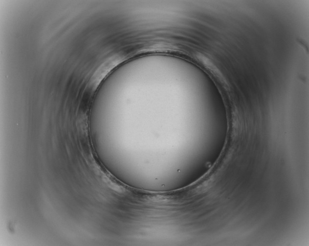 X0000103281329200809121937