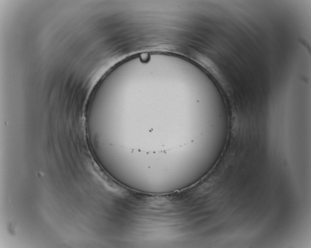 X0000103281332200809121937