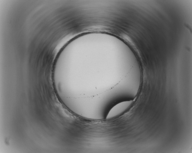 X0000103281336200809121937