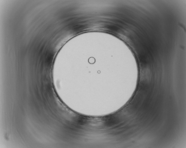 X0000103281338200809121937