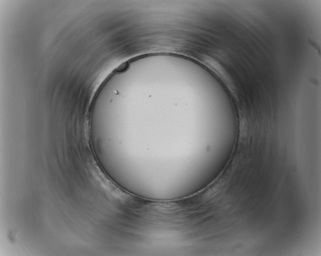 X0000103281340200809121937