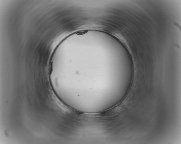 X0000103281344200809121937