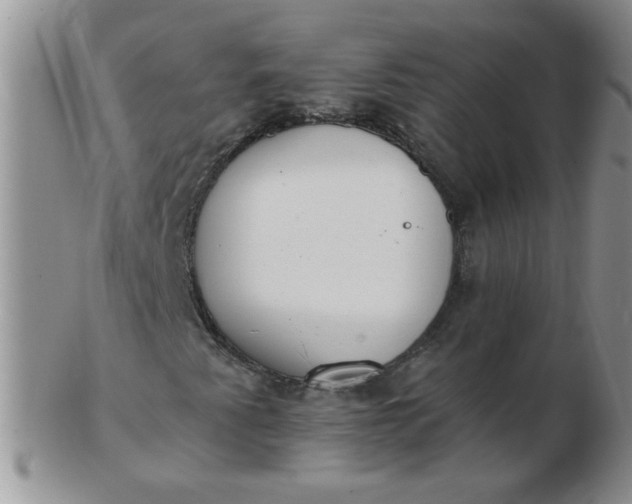 X0000103281345200809121936