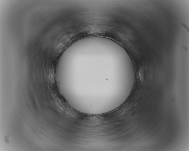 X0000103281348200809121936