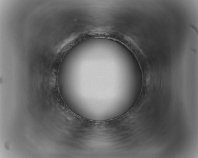 X0000103281350200809121936