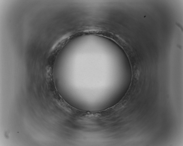 X0000103281351200809121936