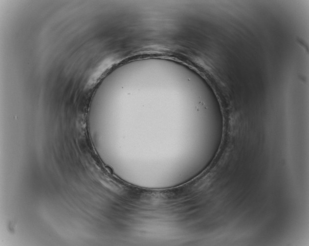 X0000103281355200809121936