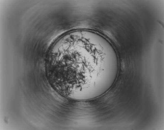 X0000103281356200809121936