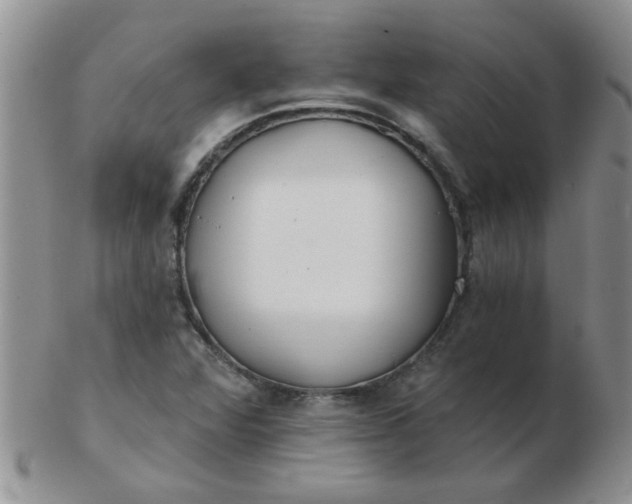 X0000103281360200809121936