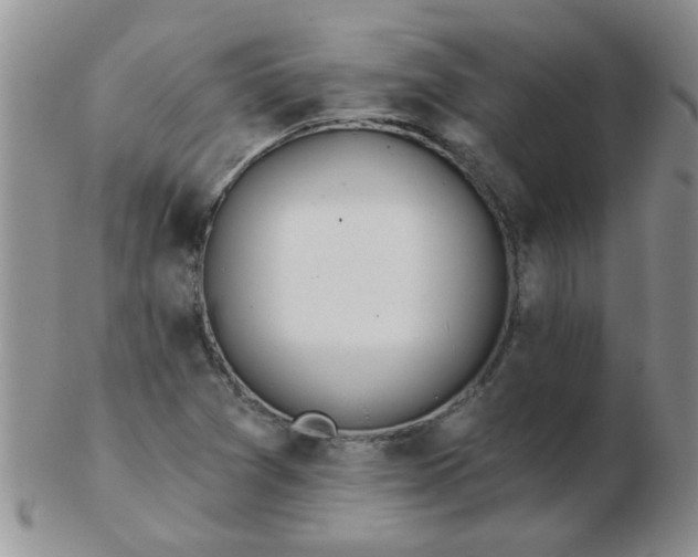 X0000103281361200809121936