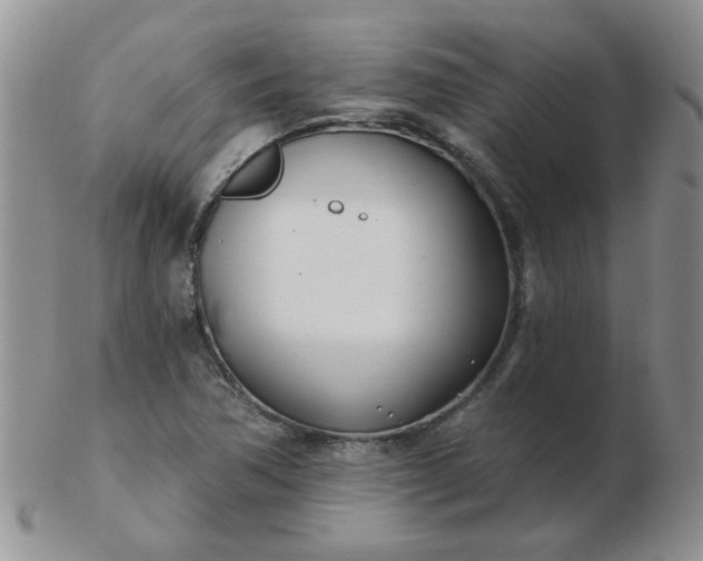 X0000103281362200809121936