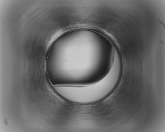 X0000103281365200809121936